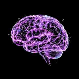 AI интеграция и автоматизация